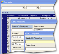 DataForms.Net with Source icon